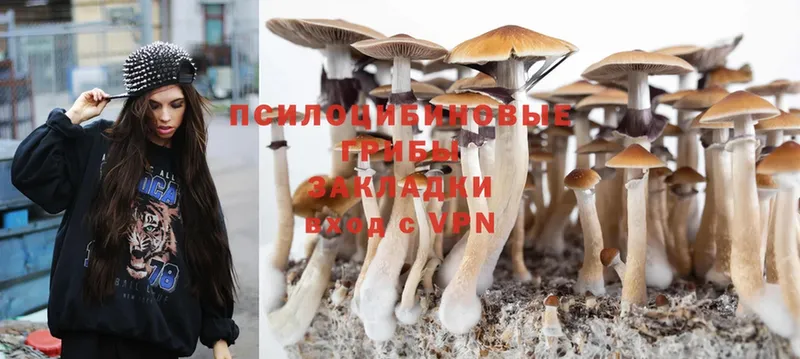 Псилоцибиновые грибы MAGIC MUSHROOMS  Звенигово 