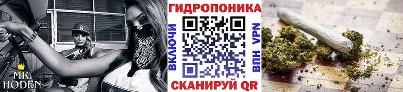 Конопля индика  как найти закладки  blacksprut ССЫЛКА  Звенигово 